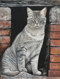 Cat Portrait - Julia Ciccone